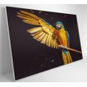 Ver imagem 3 de Quadro Arara Azul - 90x60 - Tecido Canvas