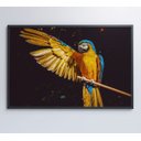 Ver imagem 7 de Quadro Arara Azul - 90x60 - Tecido Canvas