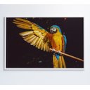 Ver imagem 4 de Quadro Arara Azul - 90x60 - Tecido Canvas