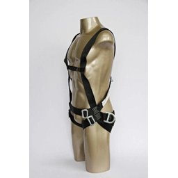 Kit Cinto Segurança 3 Argolas com Talabarte Y Elastizado:U - 4