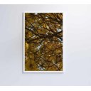 Ver imagem 3 de Quadro Flores Ipê Amarelo - 80x120 - Tecido Canvas