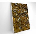 Ver imagem 2 de Quadro Flores Ipê Amarelo - 60x90 - Tecido Canvas