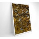 Ver mais imagens de Quadro Flores Ipê Amarelo - 60x90 - Tecido Canvas