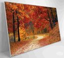 Ver imagem 2 de Quadro Bosque - 90x60 - Adesivo Fotográfico