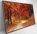 Ver imagem 5 de Quadro Bosque - 90x60 - Adesivo Fotográfico