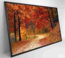 Ver imagem 4 de Quadro Bosque - 90x60 - Adesivo Fotográfico