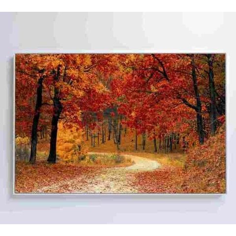 Quadro Bosque - 90x60 - Adesivo Fotográfico