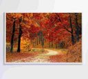 Ver imagem 3 de Quadro Bosque - 90x60 - Adesivo Fotográfico