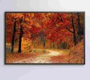 Ver imagem 6 de Quadro Bosque - 90x60 - Adesivo Fotográfico