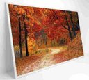 Ver mais imagens de Quadro Bosque - 90x60 - Adesivo Fotográfico