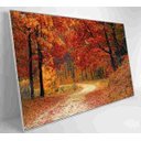 Ver imagem 2 de Quadro Bosque - 90x60 - Tecido Canvas