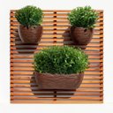 Ver imagem 1 de 10 Maço de Mini Galhos Artificiais de Eucalipto para Decoração Elegante
