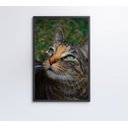 Ver imagem 4 de Quadro Gato - 60x90 - Vidro Impresso