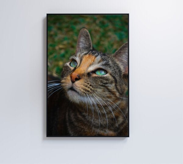 QUADRO GATO - 60x90 - Adesivo fotográfico - 3