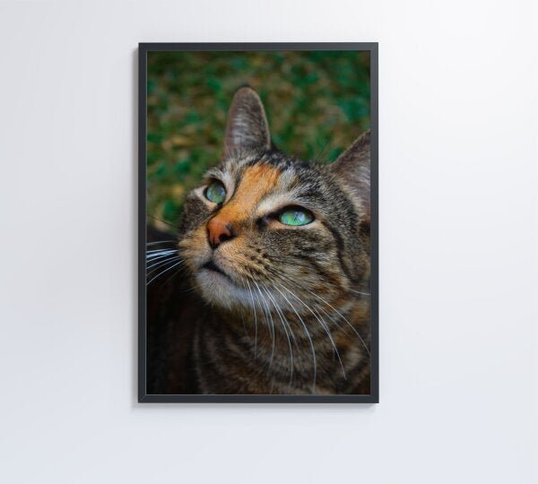 QUADRO GATO - 60x90 - Adesivo fotográfico - 4