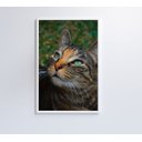 Ver imagem 2 de Quadro Gato - 60x90 - Adesivo Fotográfico