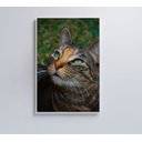 Ver imagem 1 de Quadro Gato - 60x90 - Tecido Canvas