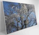Ver imagem 3 de Quadro Árvore Cerejeira - 90x60 - Tecido Canvas