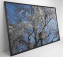 Ver imagem 5 de Quadro Árvore Cerejeira - 90x60 - Tecido Canvas