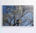Ver imagem 1 de Quadro Árvore Cerejeira - 90x60 - Tecido Canvas