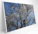 Ver imagem 2 de Quadro Árvore Cerejeira - 90x60 - Vidro Impresso