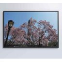Ver imagem 7 de Quadro Árvore Cerejeira 2 - 90x60 - Tecido Canvas