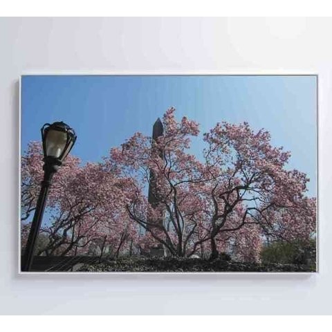 Quadro Árvore Cerejeira 2 - 90x60 - Vidro Impresso