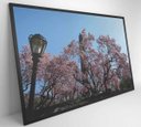 Ver imagem 5 de Quadro Árvore Cerejeira 2 - 90x60 - Vidro Impresso