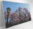 Ver imagem 3 de Quadro Árvore Cerejeira 2 - 90x60 - Vidro Impresso