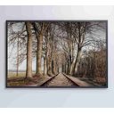 Ver mais imagens de Quadro Trilhos - 90x60 - Adesivo Fotográfico