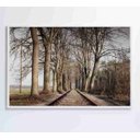 Ver imagem 1 de Quadro Trilhos - 90x60 - Adesivo Fotográfico