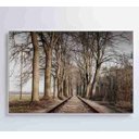 Ver imagem 3 de Quadro Trilhos - 90x60 - Adesivo Fotográfico
