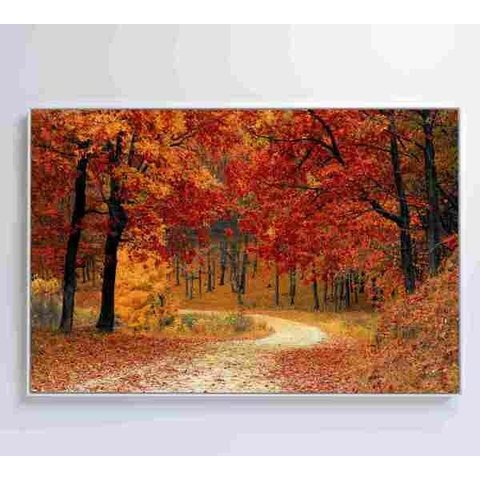QUADRO BOSQUE - 90x60 - Vidro Impresso