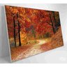 QUADRO BOSQUE - 90x60 - Vidro Impresso - 2