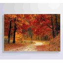 Ver imagem 1 de Quadro Bosque - 120x80 - Adesivo Fotográfico