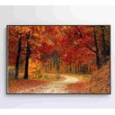 Ver imagem 7 de Quadro Bosque - 120x80 - Adesivo Fotográfico