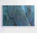 Ver imagem 1 de Quadro Penas Azuis - 90x60 - Adesivo Fotográfico
