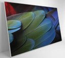 Ver imagem 3 de Quadro Penas Verdes - 90x60 - Vidro Impresso