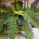 Ver imagem 2 de Samambaias Toque Natural Kit com 24 Buquês | Flores Artificiais Formosinha
