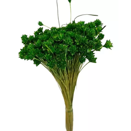 Buque Flor Espeta Nariz Verde Desidratado Arranjos Decor - 2