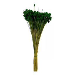 Buque Flor Espeta Nariz Verde Desidratado Arranjos Decor - 4