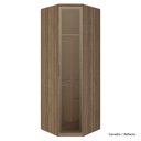 Ver imagem 1 de Guarda Roupa Modulado 01 Porta Vidro Canto Obliquo 245cm Setiba