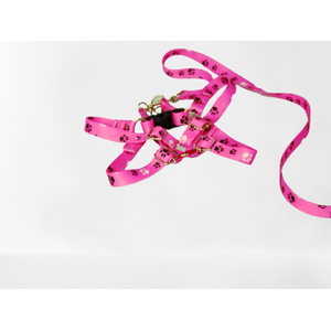 Conjunto Peitoral e Guia Ajustável RBPet - Cães e Animais de Micro Porte