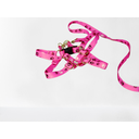 Ver imagem 2 de Conjunto Peitoral e Guia Ajustável RBPet - Cães e Animais de Micro Porte