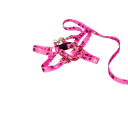 Ver mais imagens de Conjunto Peitoral e Guia Ajustável RBPet - Cães e Animais de Micro Porte