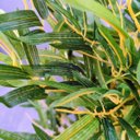 Ver imagem 3 de Árvore Bambu Artificial 170x40x30cm Planta Permanente