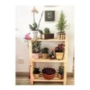 Ver imagem 2 de  Jardim Vertical 3 prateleiras Madeira Pinus Floreira Oferta Technox Marrom