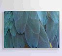 Ver imagem 4 de Quadro Penas Azuis - 120x80 - Tecido Canvas