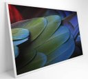 Ver imagem 2 de Quadro Penas Verdes - 90x60 - Tecido Canvas