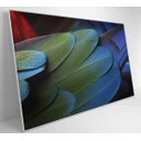 Ver imagem 3 de Quadro Penas Verdes - 90x60 - Tecido Canvas